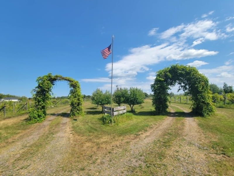 40306 Torchlight Rd, Isle, MN 56342
