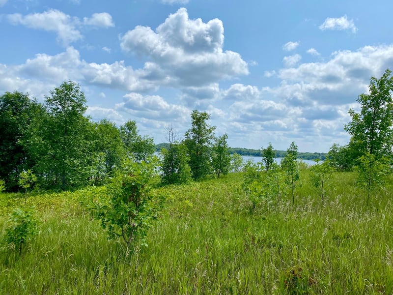 27XX Louise Dr NW, Lagrand Twp, MN 56308