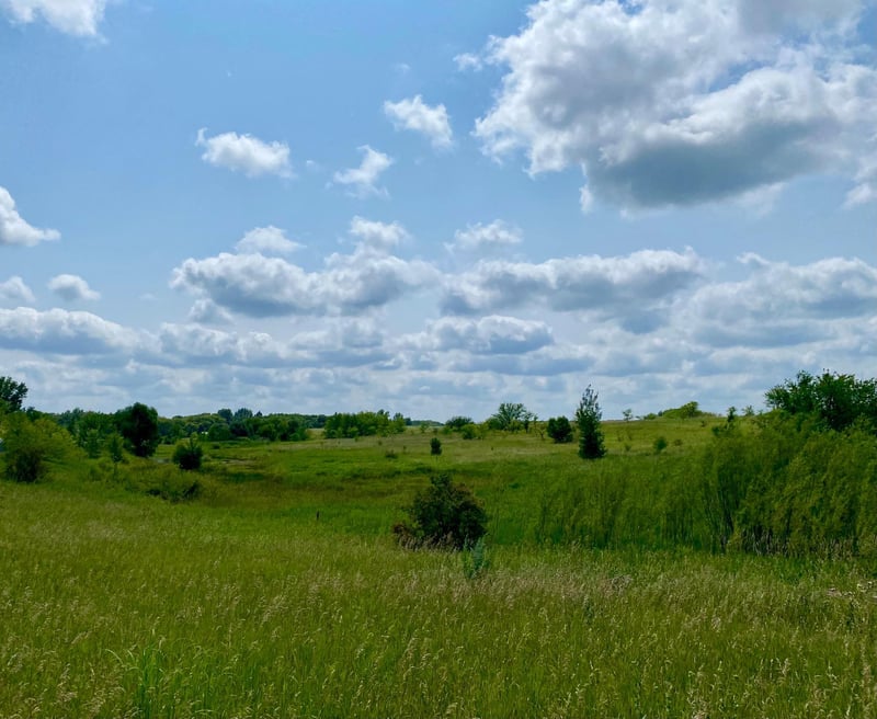 XX32 Country Estates Dr, Ida Twp, MN 56308