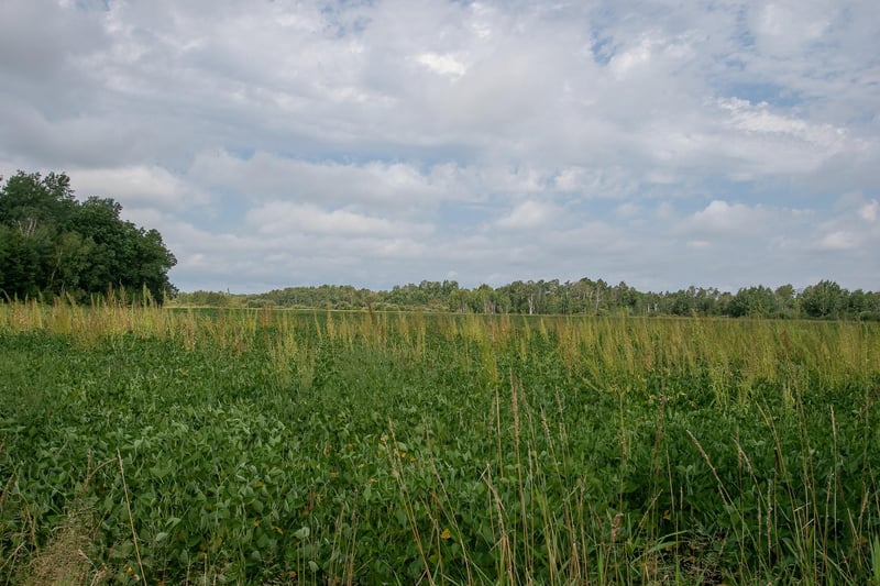 TBD County Road 11, Aitkin, MN 56431