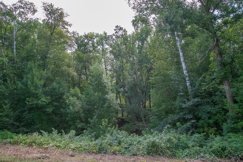 TBD County Road 11, Aitkin, MN 56431