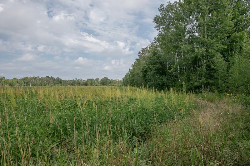 TBD County Road 11, Aitkin, MN 56431
