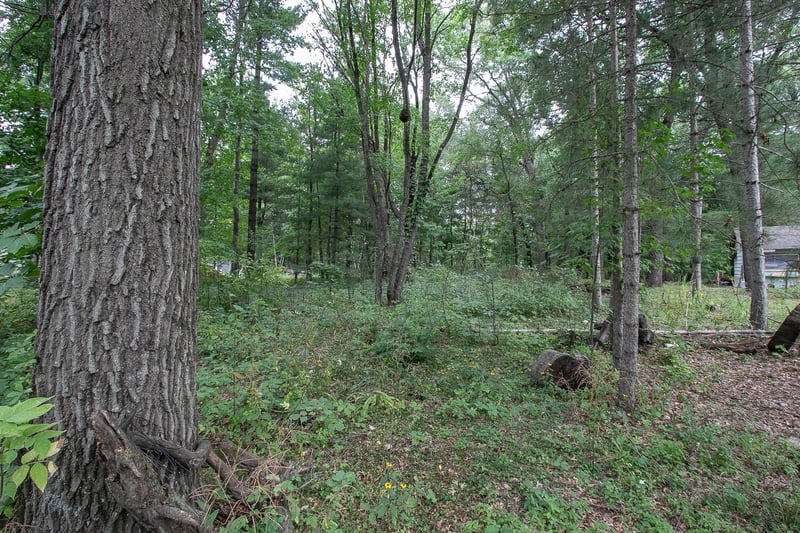 TBD 241st Ave NE, Stacy, MN 55079