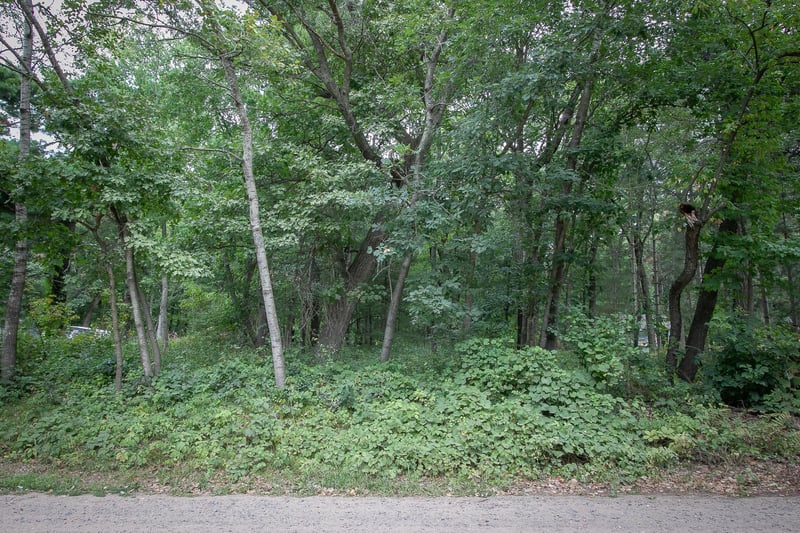 TBD 241st Ave NE, Stacy, MN 55079