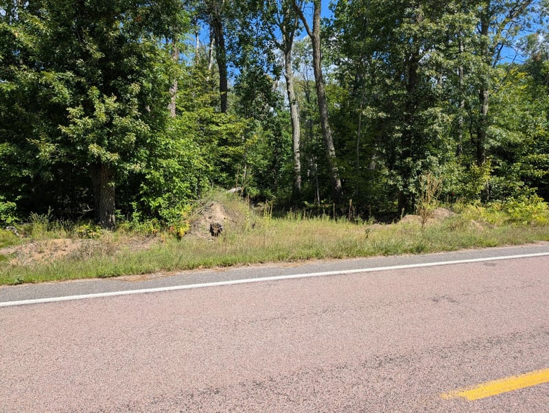 Lot 9 block 1 Fawn Lake Rd, Cross Lake, MN 56442