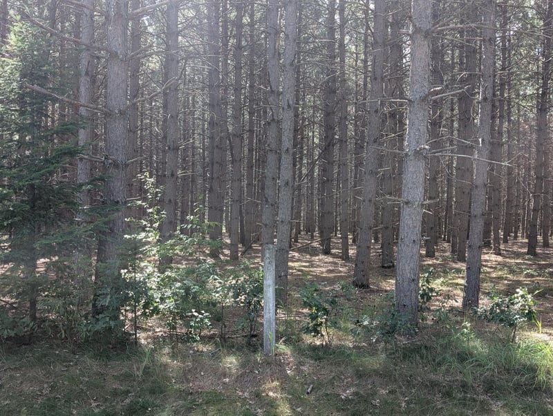 Lot 9 block 1 Fawn Lake Rd, Cross Lake, MN 56442