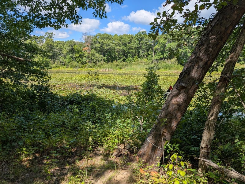 Lot 9 block 1 Fawn Lake Rd, Cross Lake, MN 56442