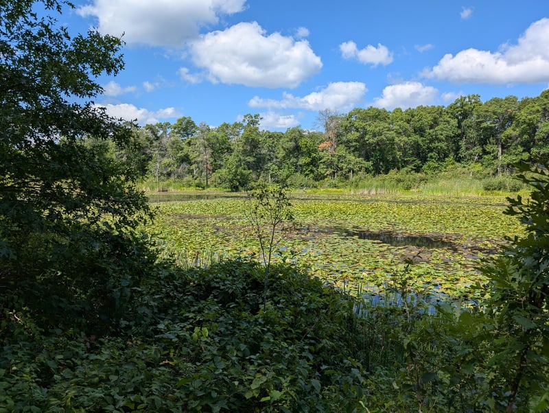 Lot 9 block 1 Fawn Lake Rd, Cross Lake, MN 56442