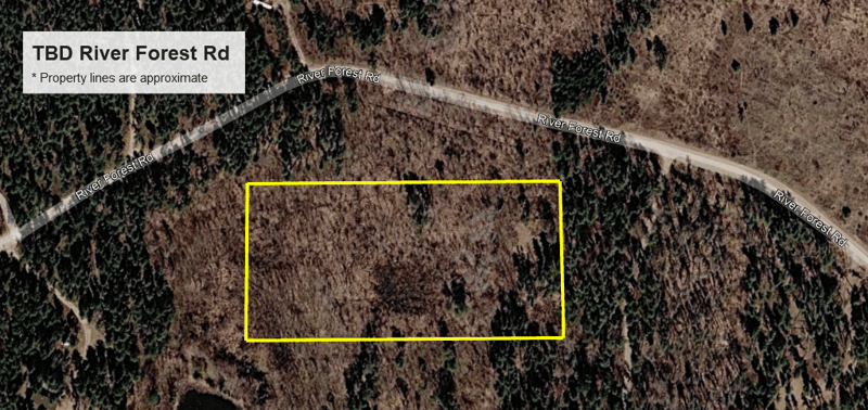 TBD River Forest Rd, Roseau, MN 56751