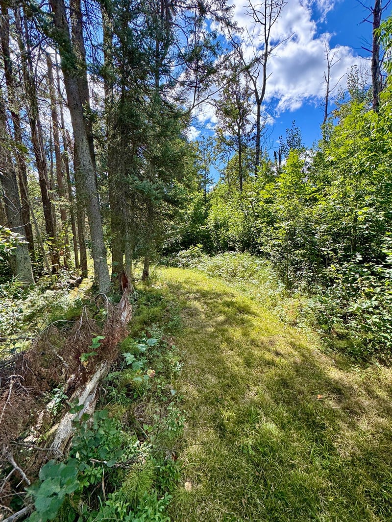 TBD River Forest Rd, Roseau, MN 56751