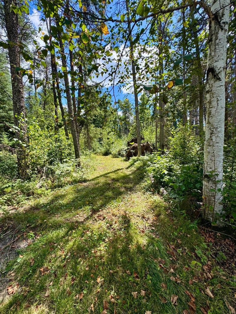 TBD River Forest Rd, Roseau, MN 56751