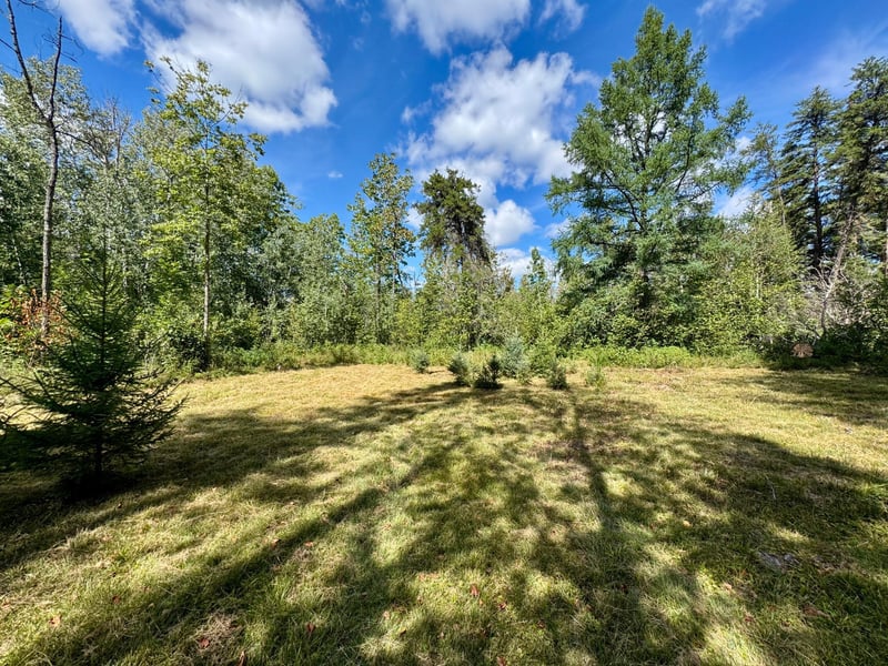 TBD River Forest Rd, Roseau, MN 56751