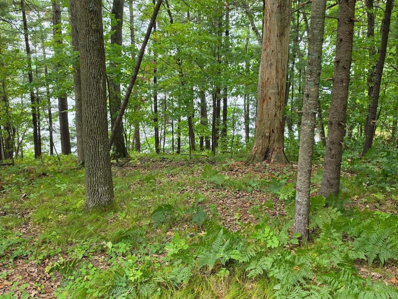 2406 Us Highway 63, Cumberland, WI 54829