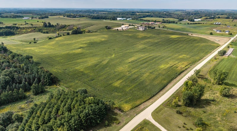 XXXX Dent Ave, Webster, MN 55088
