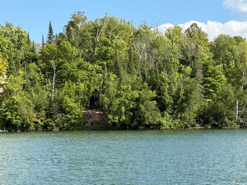 TBD2 Long Lake Rd, Stone Lake, WI 54876