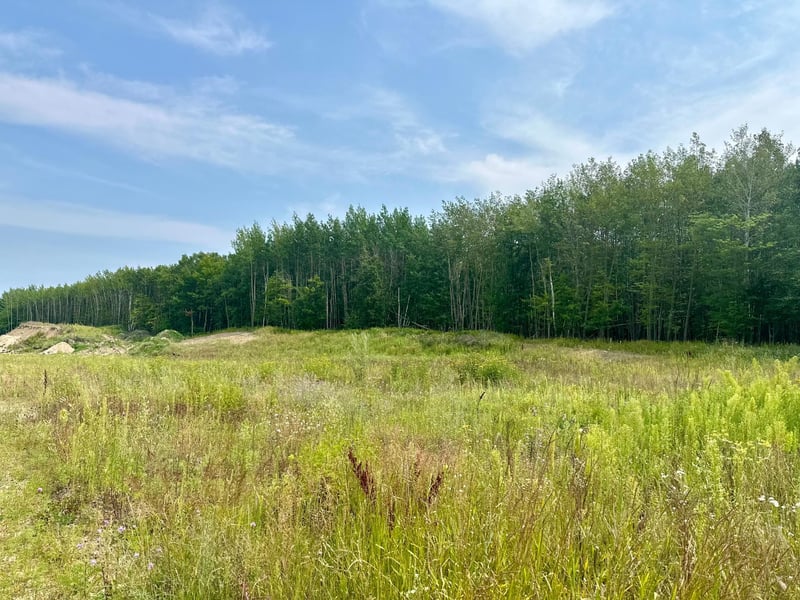 TBD-Lot 8 E Ottertail Rd NW, Walker, MN 56484