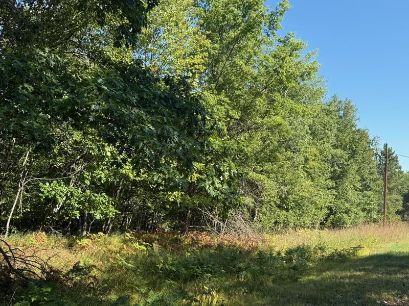 76617 Debbie Ridge Rd, Willow River, MN 55795