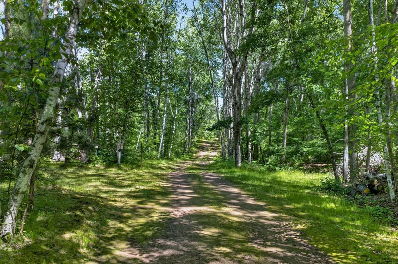 TBD River Rd, Trego, WI 54888