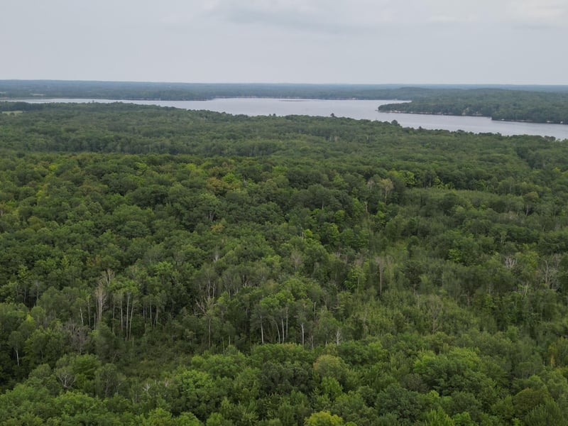 TBD 324th Ave, Pierz, MN 56364