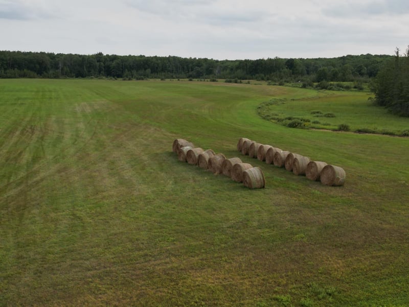 TBD 324th Ave, Pierz, MN 56364