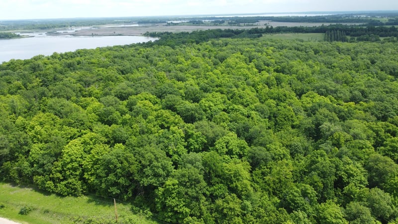TBD 355th St, Richville, MN 56576
