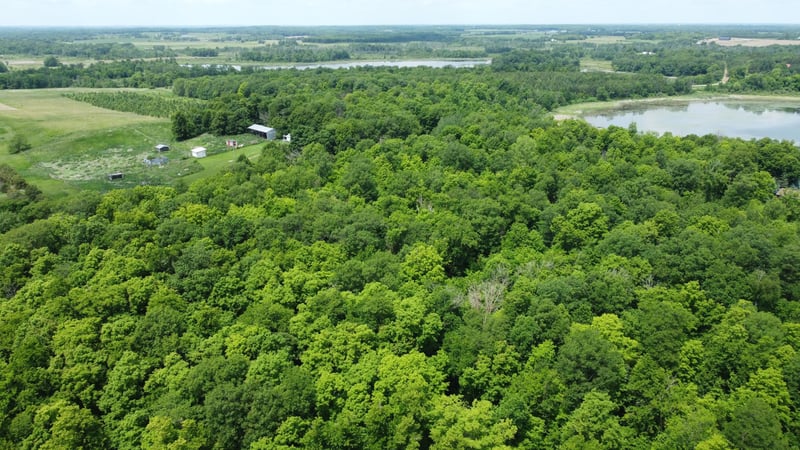TBD 355th St, Richville, MN 56576