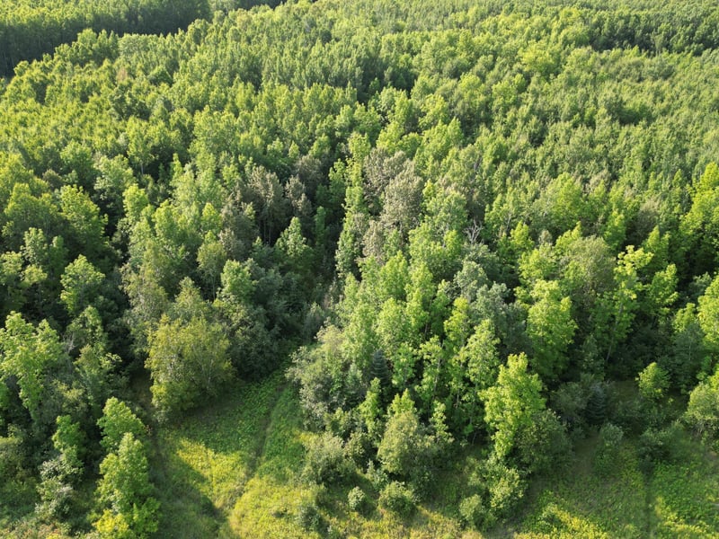 4161 County Road 9, Littlefork, MN 56653