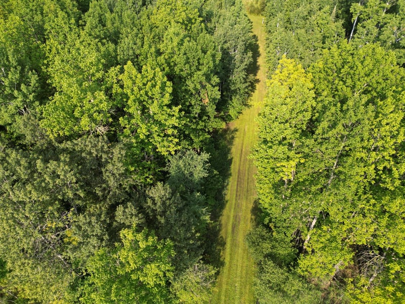 4161 County Road 9, Littlefork, MN 56653