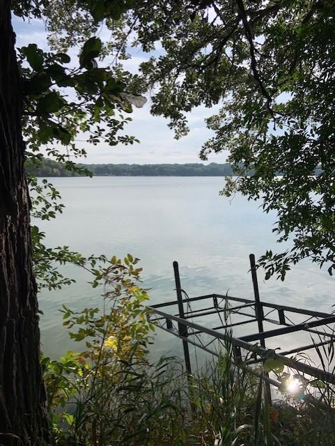 18305 Browns Lake Rd, Richmond, MN 56368
