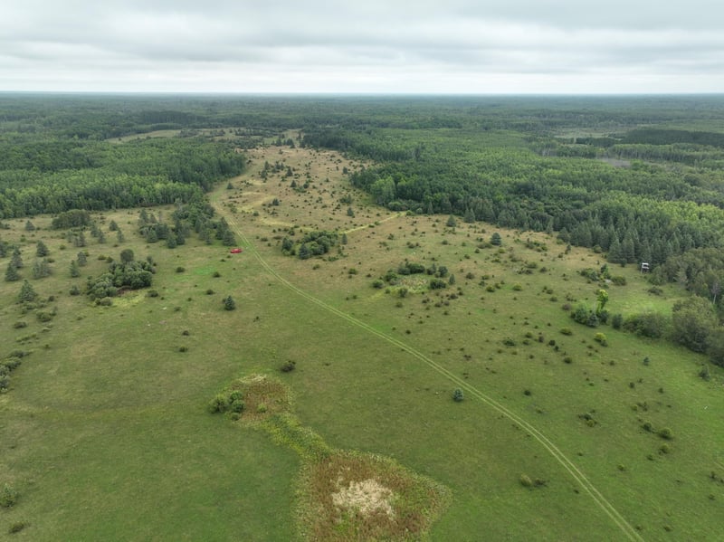 TBD County Rd 31, Northome, MN 56661