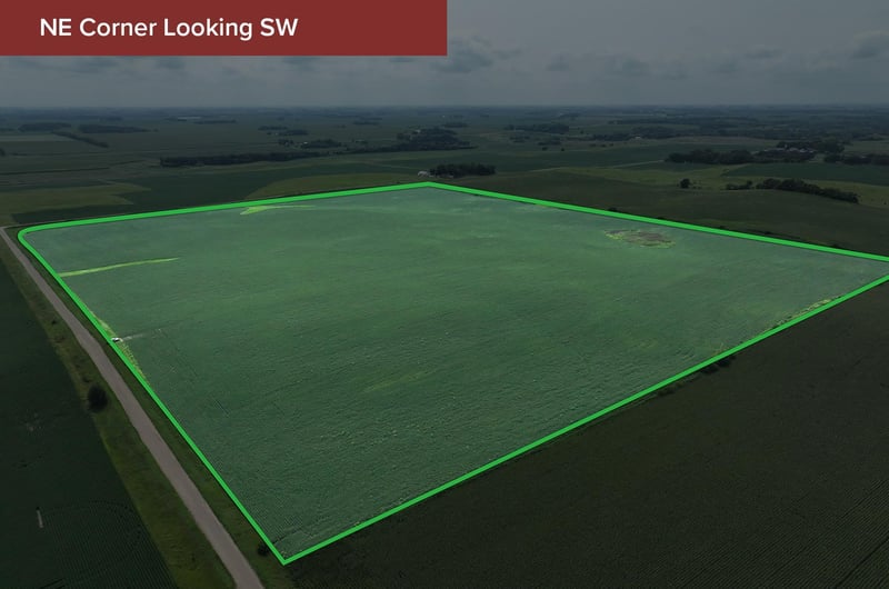 168th St 168th St, Otisco Twp, MN 56093