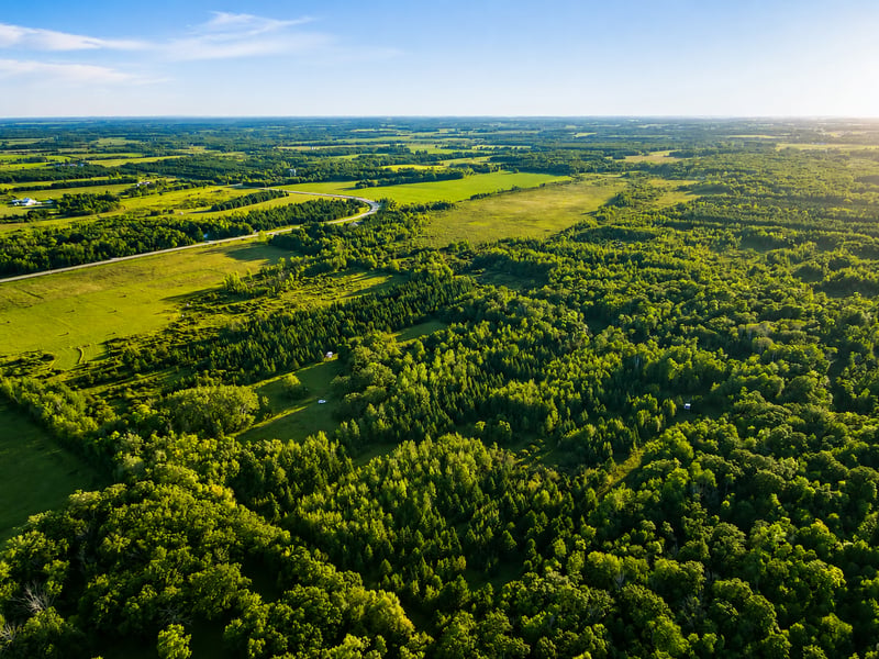 TBD Co Hwy 56, New York Mills, MN 56567