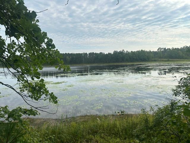 17263 Mission Rd SE, Cass Lake, MN 56633