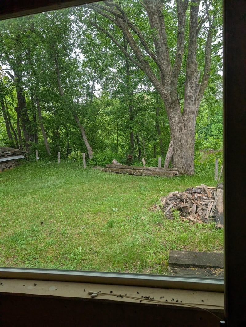 100 Cedar St, Littlefork, MN 56653