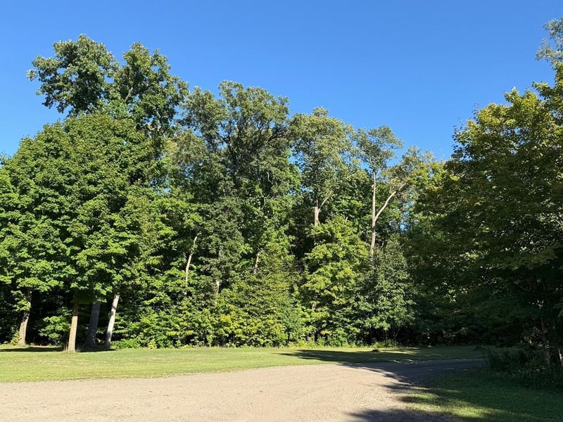 30315 River Pointe Trl, Underwood, MN 56586