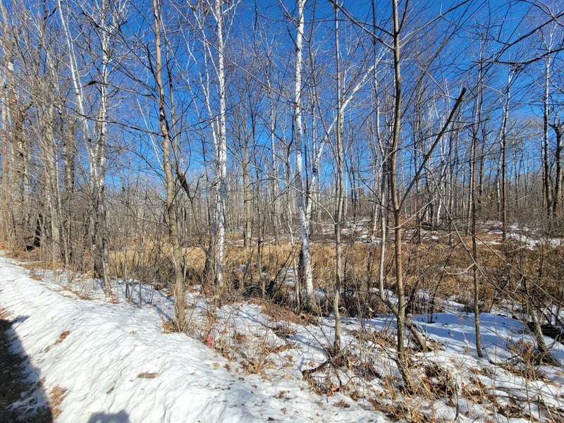 TBD Xxxx Meadow Lake Rd SW, Motley, MN 56466