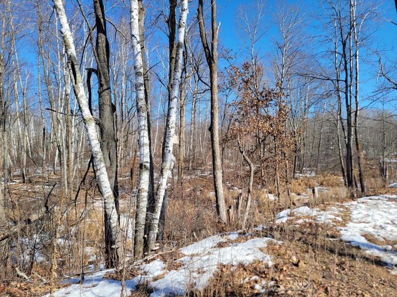 TBD Xxxx Meadow Lake Rd SW, Motley, MN 56466