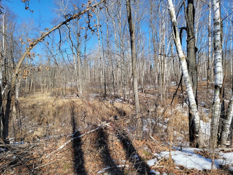 TBD Xxxx Meadow Lake Rd SW, Motley, MN 56466