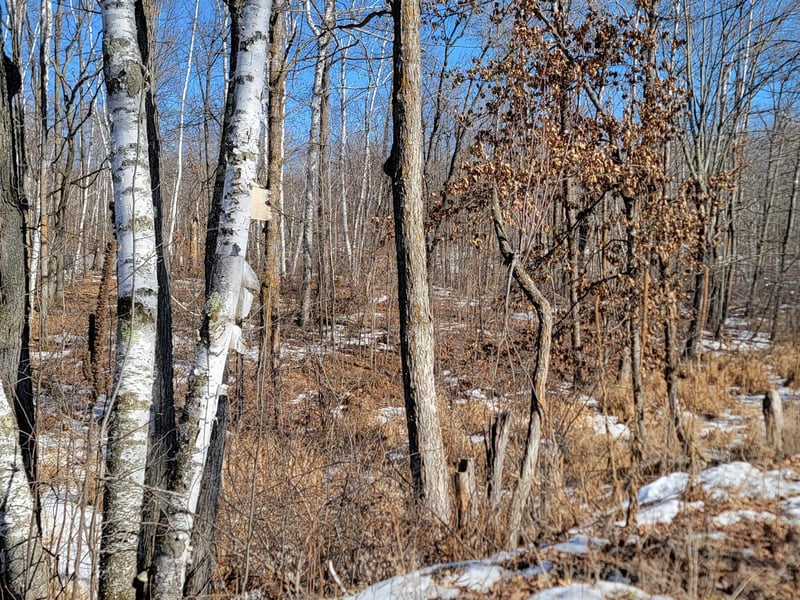 TBD Xxxx Meadow Lake Rd SW, Motley, MN 56466