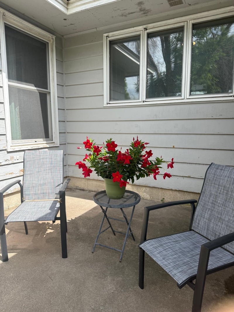 709 7th St, Farmington, MN 55024