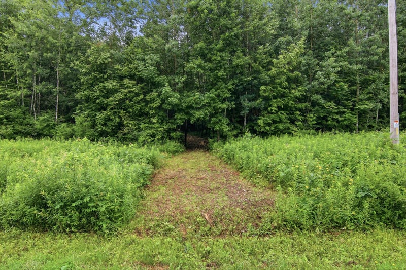 Lot 1 4th St, Clayton, WI 54004
