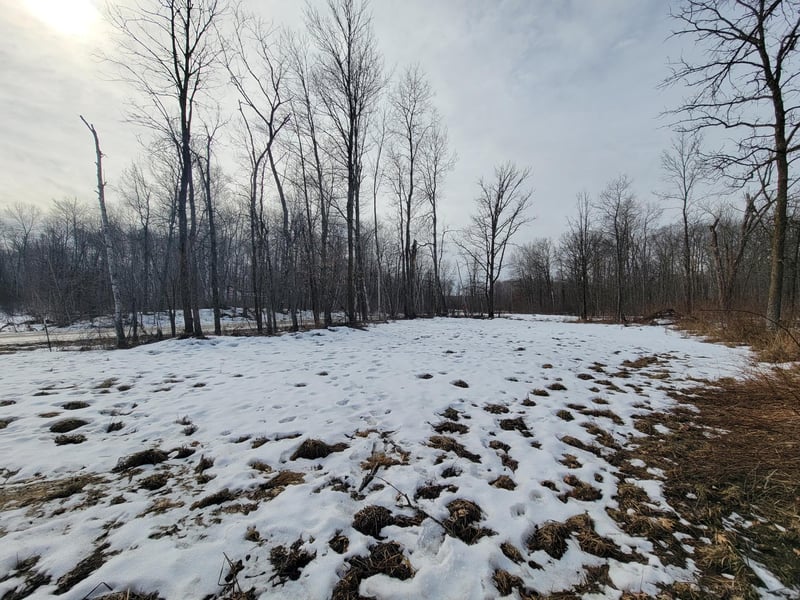 TBD Xxxx Black Bear Dr SW, Motley, MN 56466