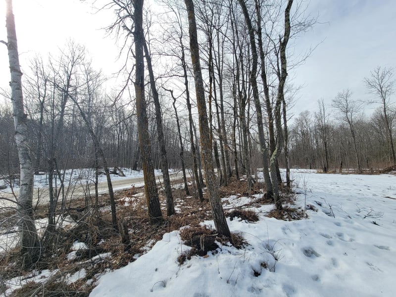 TBD Xxxx Black Bear Dr SW, Motley, MN 56466
