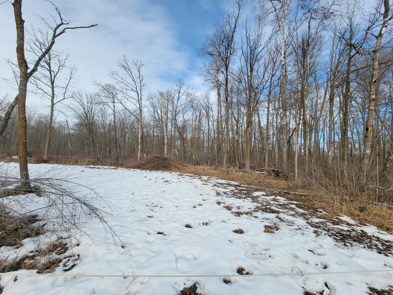 TBD Xxxx Black Bear Dr SW, Motley, MN 56466