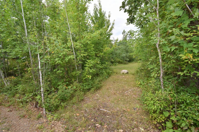 TBD Hwy 77, Danbury, WI 54830