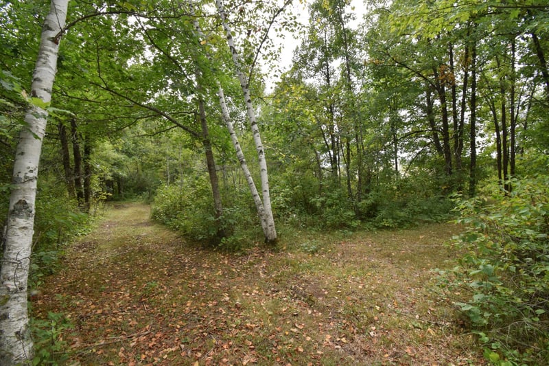 TBD Hwy 77, Danbury, WI 54830