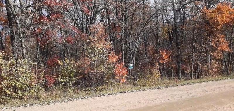 TBD 285 Ave, Browerville, MN 56438