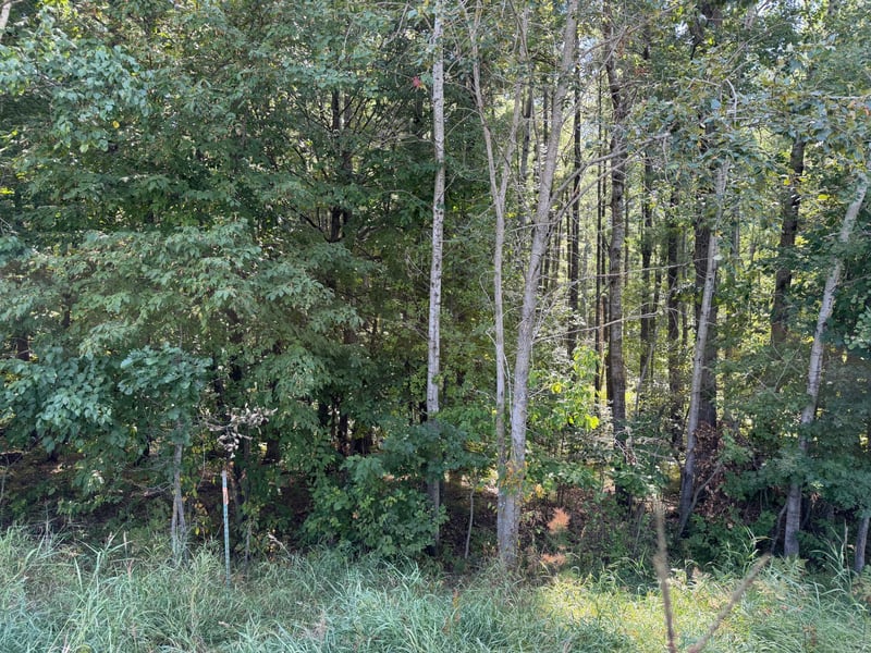 440th St, Perham, MN 56573
