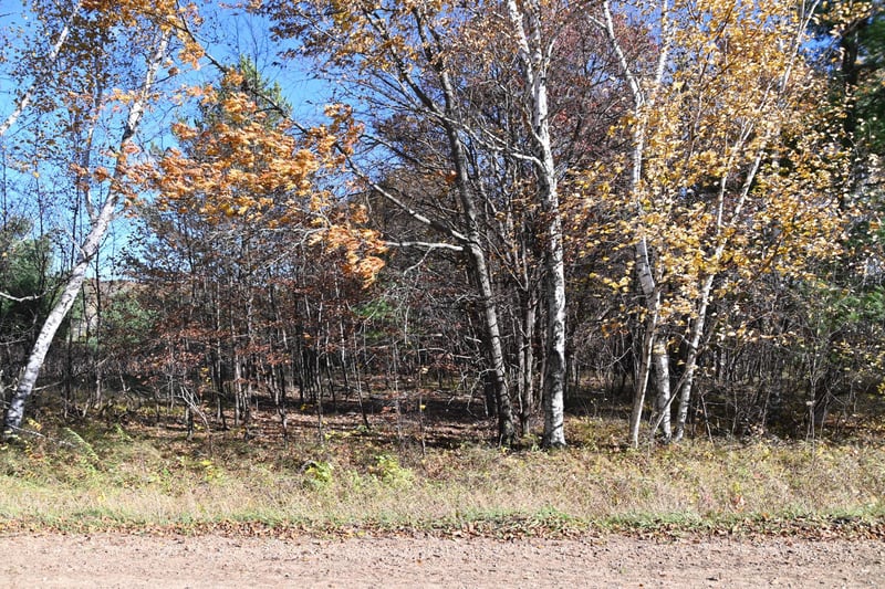TBD Pacer Loop, Browerville, MN 56438