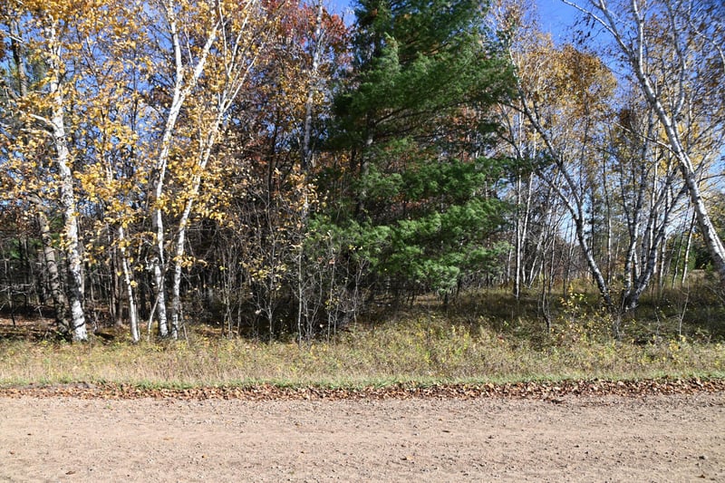 TBD Pacer Loop, Browerville, MN 56438